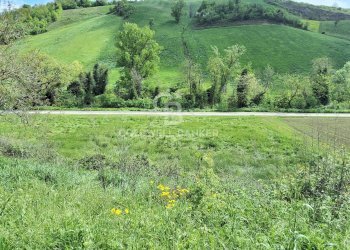 Foto 15 - Castello Via guerro di qua, Castelvetro di Modena - foto 15