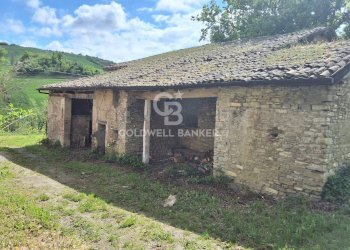 Foto 17 - Castello Via guerro di qua, Castelvetro di Modena - foto 17