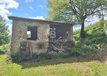 Foto 18 - Castello Via guerro di qua, Castelvetro di Modena - foto 18