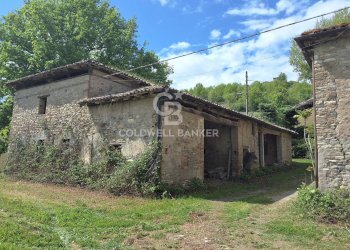 Foto 21 - Castello Via guerro di qua, Castelvetro di Modena - foto 21