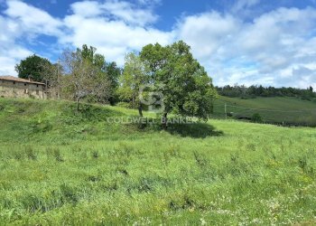 Foto 25 - Castello Via guerro di qua, Castelvetro di Modena - foto 25