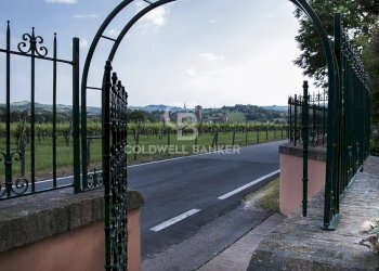 Foto 59 - Villa Via Sapiana, Castelvetro di Modena - foto 59