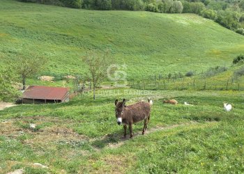 Foto 13 - Rustico Santa Sofia - foto 13