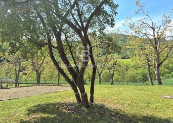 Foto 15 - Rustico Santa Sofia - foto 15