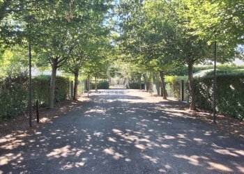 Foto 2 - Villa Via Viareggio, Rubiera - foto 2