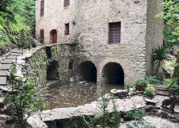 Foto 1 - Rustico Via Seimiglia, Camaiore - foto 1