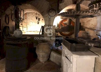 Foto 15 - Rustico Via Seimiglia, Camaiore - foto 15