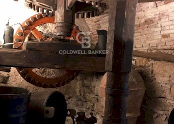 Foto 16 - Rustico Via Seimiglia, Camaiore - foto 16