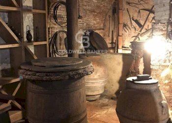 Foto 17 - Rustico Via Seimiglia, Camaiore - foto 17