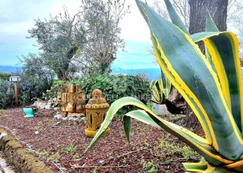 Foto 6 - Villa Via VAndelli, Prignano sulla Secchia - foto 6