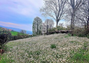 Foto 40 - Villa Via VAndelli, Prignano sulla Secchia - foto 40