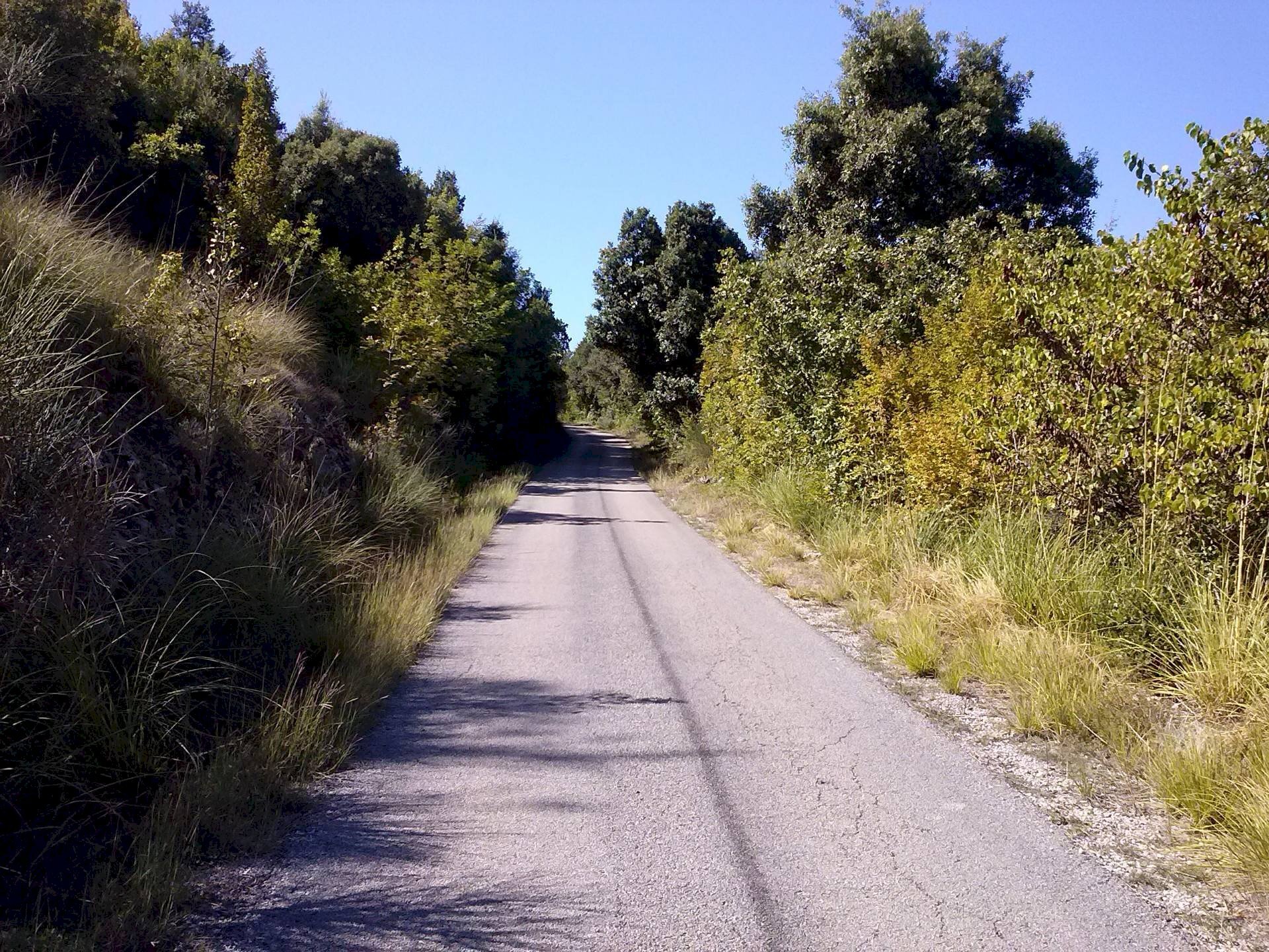 Foto 1 - Building land via delle pantane, Riofreddo - photo 1