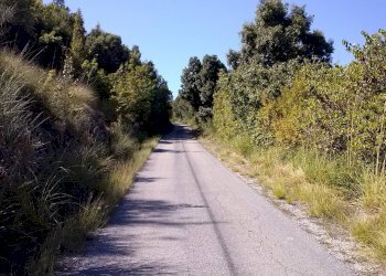 Foto 1 - Terreno edificabile via delle pantane, Riofreddo - foto 1