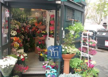 Foto 1 - Attività Commerciale via latina, Roma - foto 1