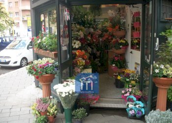 Foto 3 - Attività Commerciale via latina, Roma - foto 3