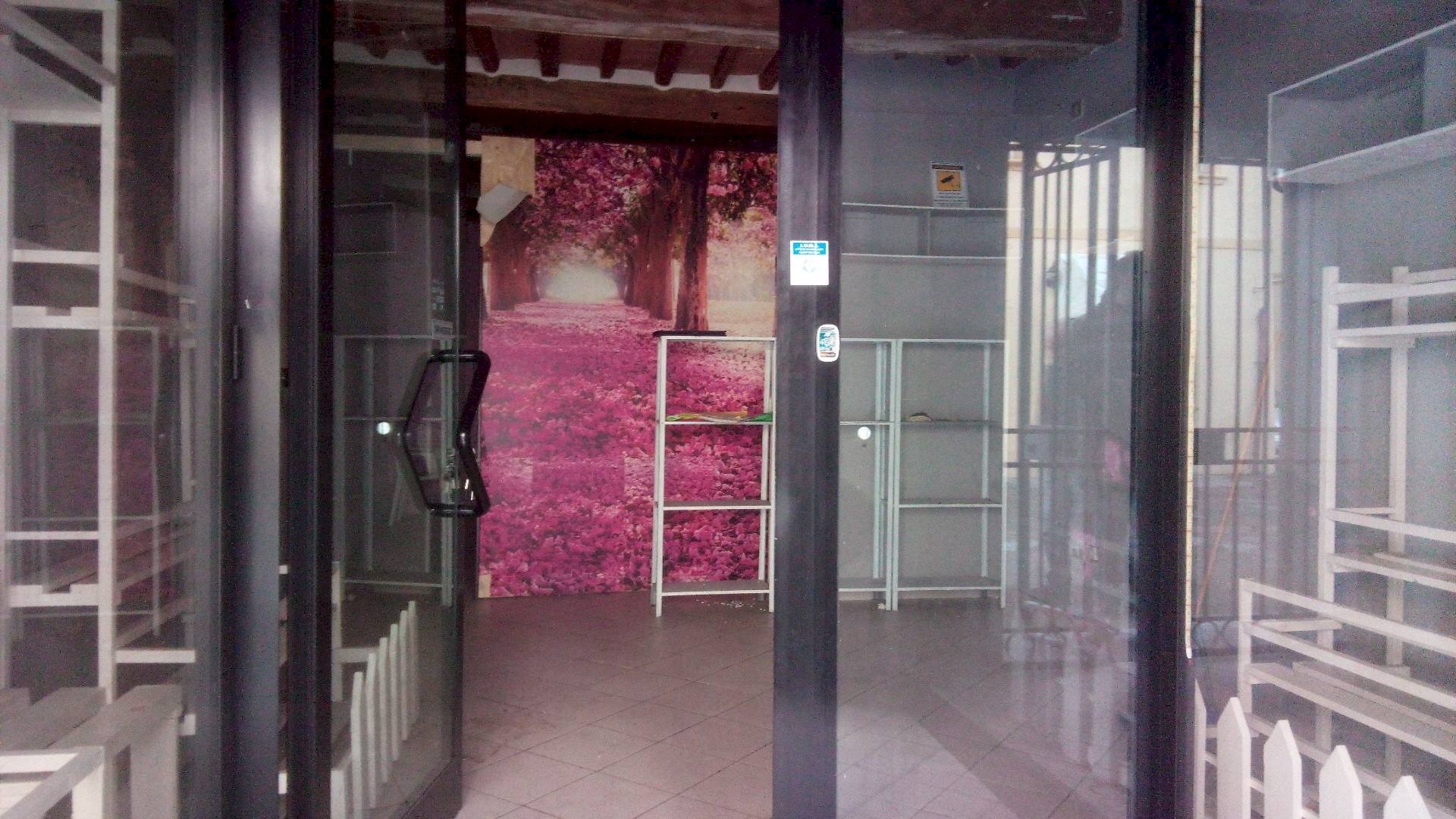 Foto 3 - Attività Commerciale via nazario sauro, Ponsacco - foto 3