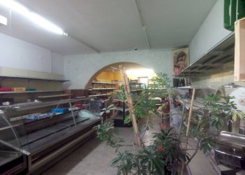 Foto 3 - Attività Commerciale via garibaldi, Ponsacco - foto 3