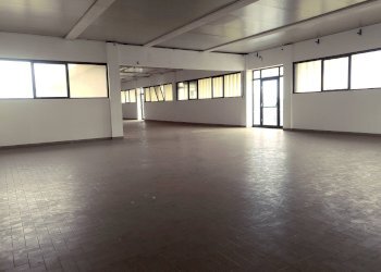 Foto 15 - Attività Commerciale Via Don Lorenzo Milani, Pontedera - foto 15