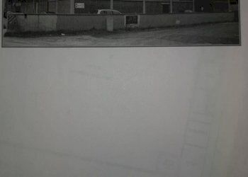 Foto 6 - Capannone via del Marrucco
 
250, Bientina - foto 6