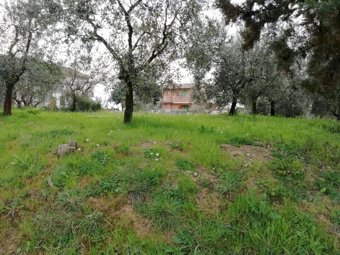 Foto 3 - Terreno edificabile Il Romito, Pontedera - foto 3