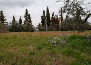 Foto 1 - Terreno edificabile Il Romito, Pontedera - foto 1