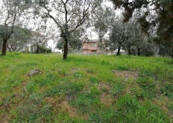 Foto 3 - Terreno edificabile Il Romito, Pontedera - foto 3