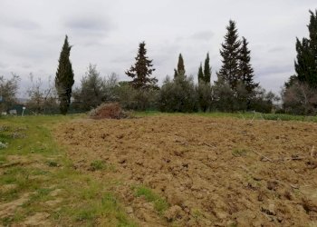 Foto 4 - Terreno edificabile Il Romito, Pontedera - foto 4