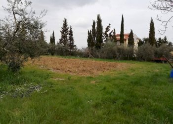 Foto 5 - Terreno edificabile Il Romito, Pontedera - foto 5