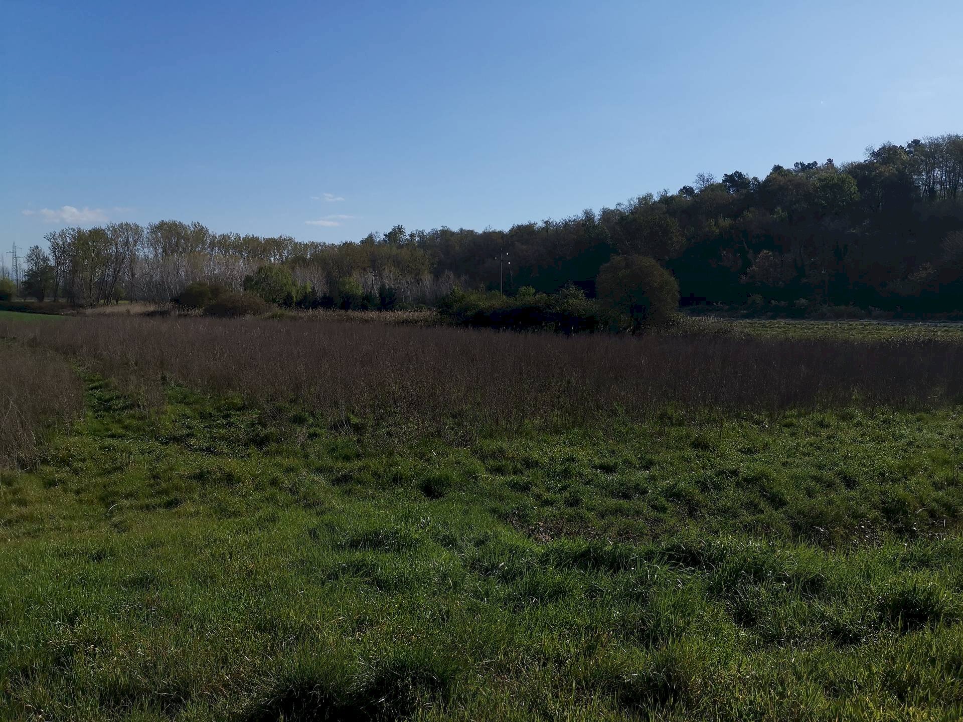 Foto 1 - Agricultural land via Del Puntone, Bientina - photo 1