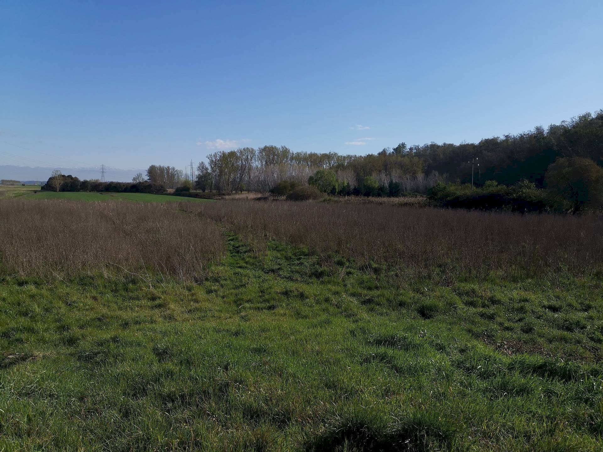 Foto 2 - Agricultural land via Del Puntone, Bientina - photo 2