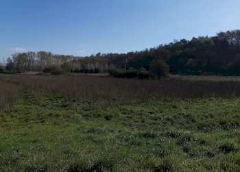 Foto 1 - Agricultural land via Del Puntone, Bientina - photo 1