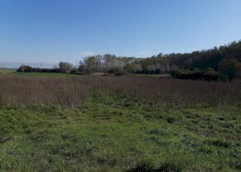 Foto 2 - Agricultural land via Del Puntone, Bientina - photo 2