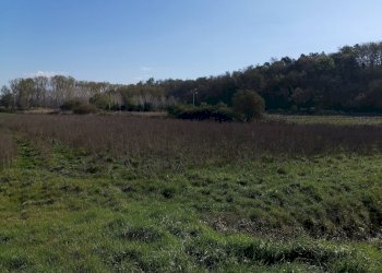 Foto 6 - Agricultural land via Del Puntone, Bientina - photo 6