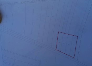 Foto 7 - Agricultural land via Del Puntone, Bientina - photo 7