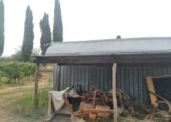 Foto 2 - Agricultural land Via Visconti
 
12, Casciana Terme Lari - photo 2