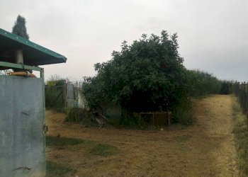 Foto 4 - Agricultural land Via Visconti
 
12, Casciana Terme Lari - photo 4