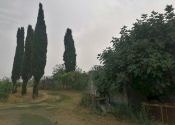 Foto 5 - Agricultural land Via Visconti
 
12, Casciana Terme Lari - photo 5