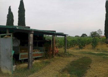 Foto 9 - Agricultural land Via Visconti
 
12, Casciana Terme Lari - photo 9
