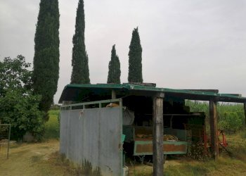 Foto 10 - Agricultural land Via Visconti
 
12, Casciana Terme Lari - photo 10