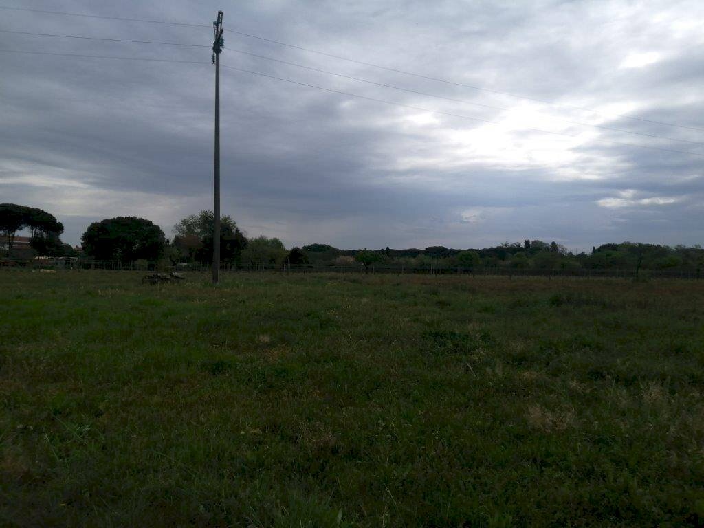 Foto 2 - Agricultural land via delle casine
 
40, Casciana Terme Lari - photo 2