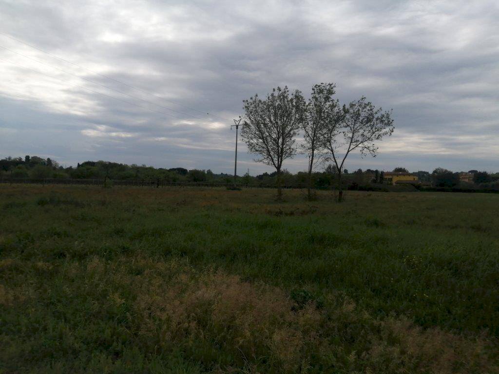 Foto 3 - Agricultural land via delle casine
 
40, Casciana Terme Lari - photo 3