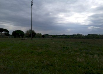 Foto 2 - Agricultural land via delle casine
 
40, Casciana Terme Lari - photo 2