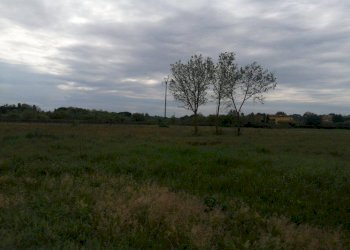 Foto 3 - Agricultural land via delle casine
 
40, Casciana Terme Lari - photo 3