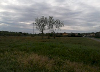 Foto 4 - Agricultural land via delle casine
 
40, Casciana Terme Lari - photo 4