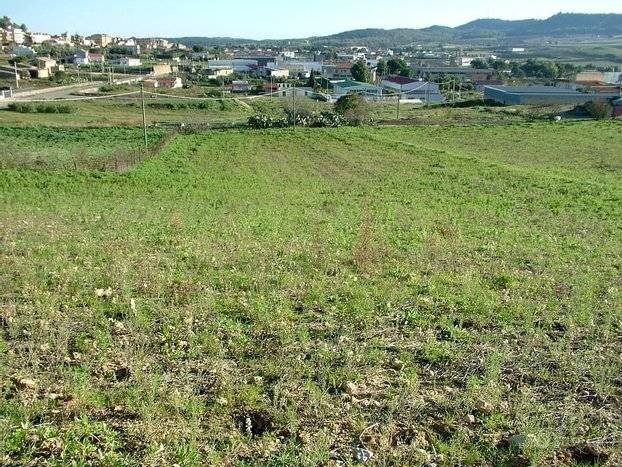 Foto 2 - Agricultural land Via Livornese est, Casciana Terme Lari - photo 2