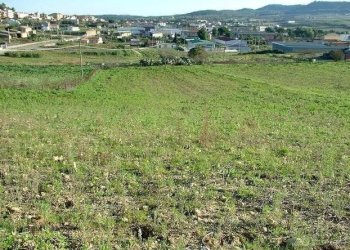 Foto 2 - Agricultural land Via Livornese est, Casciana Terme Lari - photo 2