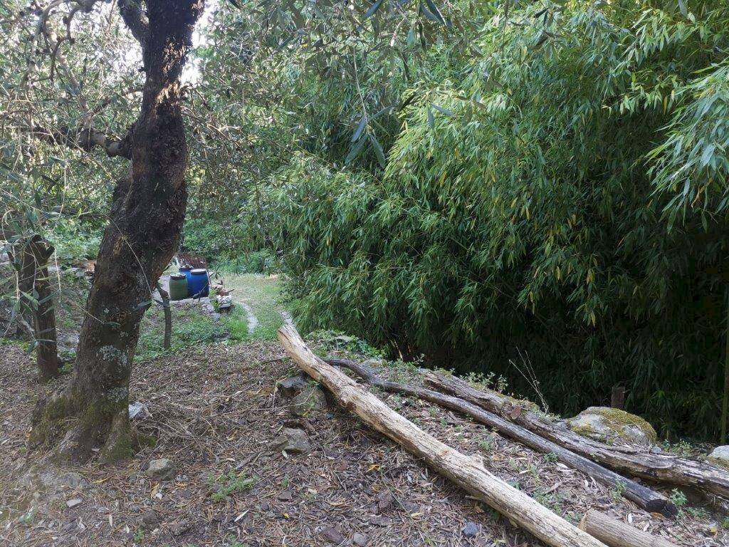 Foto 2 - Casa indipendente via di Panicale
 
250, Buti - foto 2