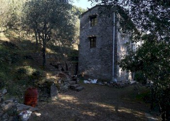 Foto 1 - Casa indipendente via di Panicale
 
250, Buti - foto 1