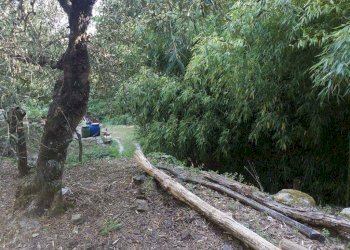 Foto 2 - Casa indipendente via di Panicale
 
250, Buti - foto 2