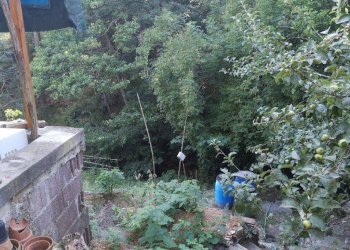 Foto 3 - Casa indipendente via di Panicale
 
250, Buti - foto 3